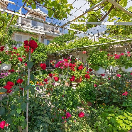 Apartments Galic ムリニ エクステリア 写真