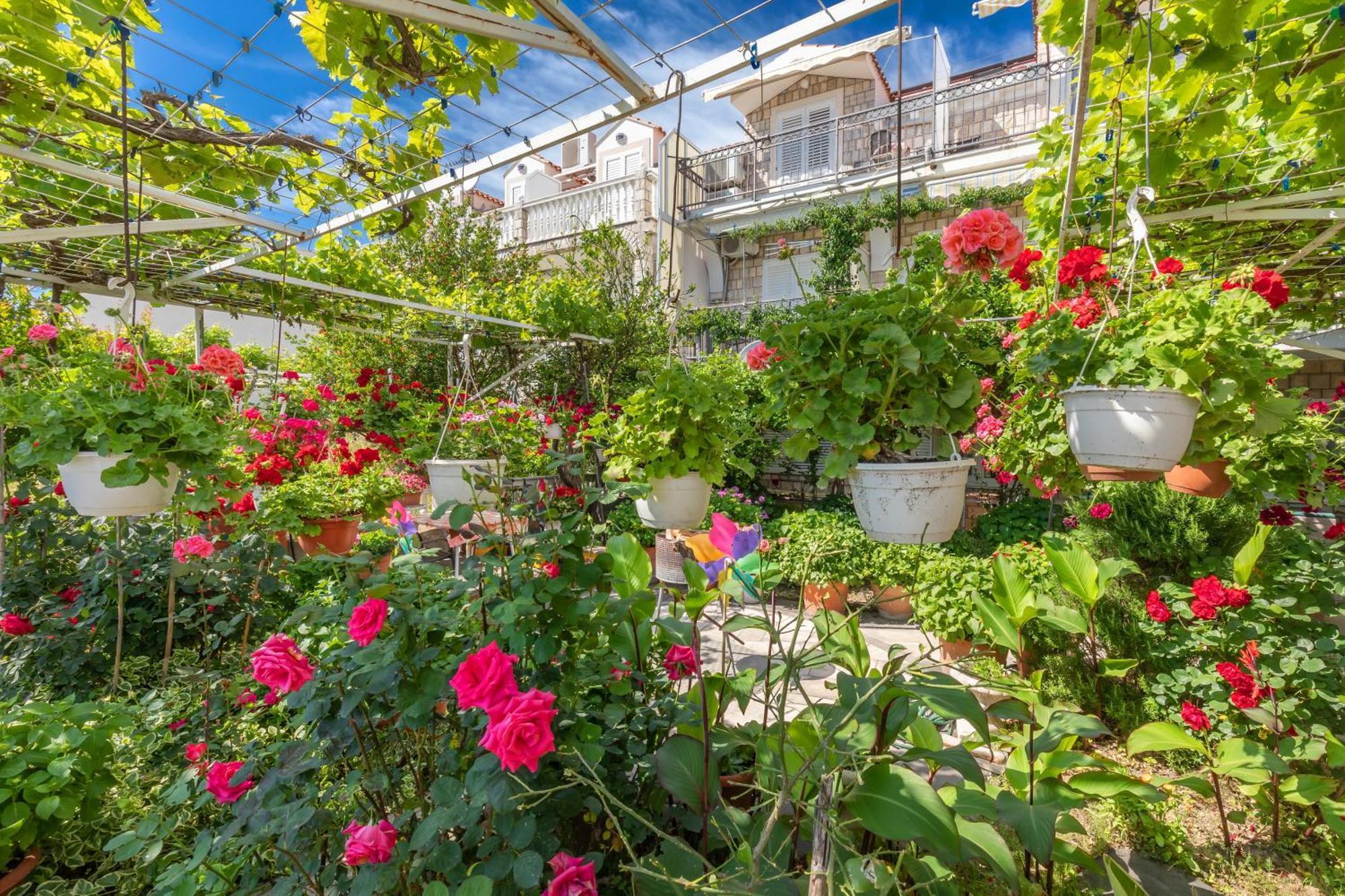 Apartments Galic ムリニ エクステリア 写真