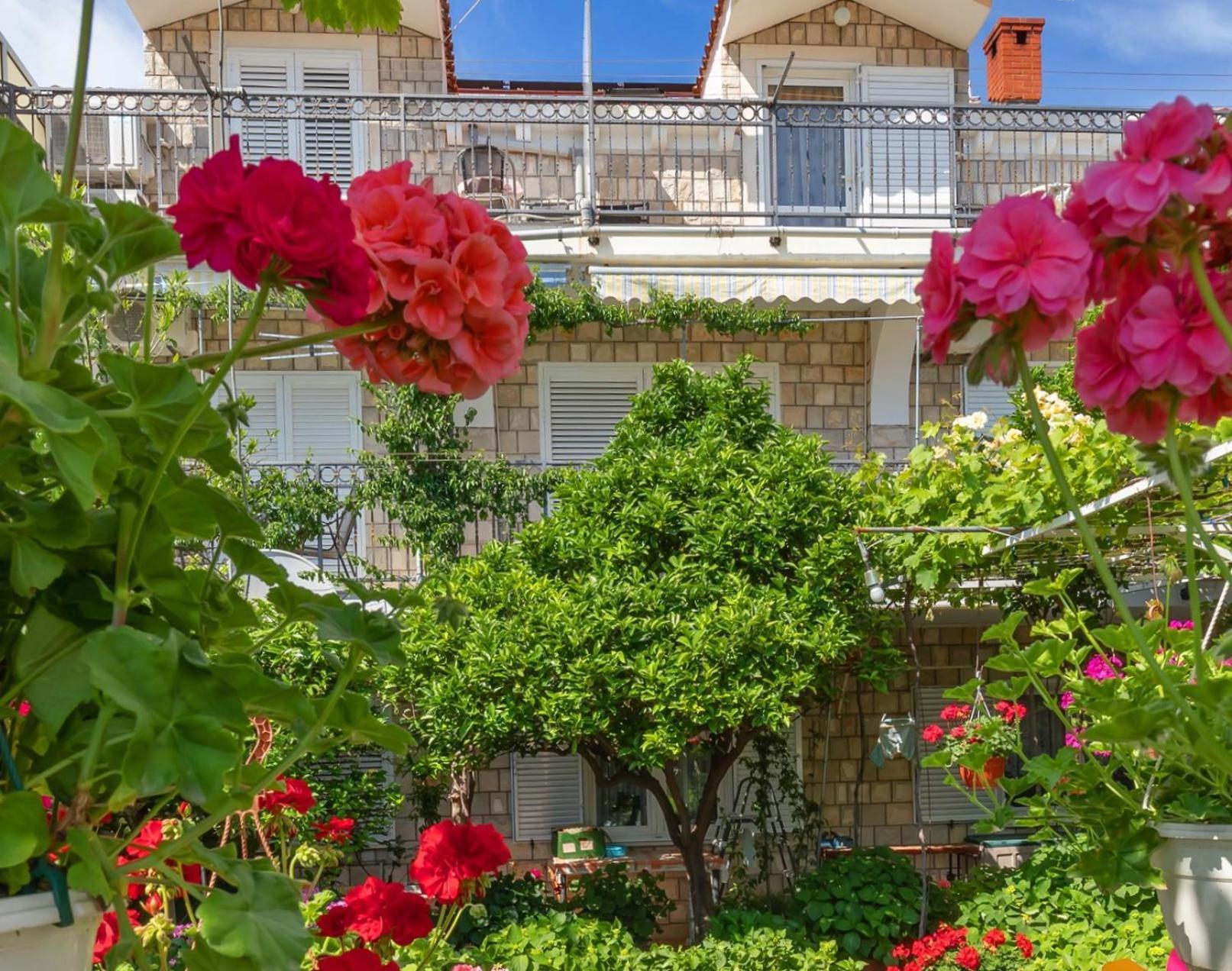 Apartments Galic ムリニ エクステリア 写真